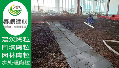 江西濾料廠家供應水處理沉水生物陶粒 輕質粘土陶?！?></a></div>
                    <div   id=